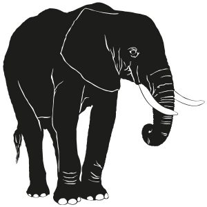 Starker Elefant Wandtattoo