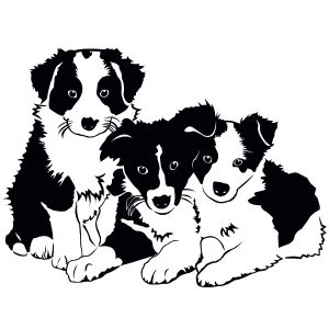 Drei süße Hundewelpen Wandtattoo