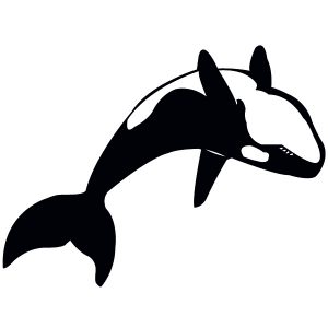 Orca Wandtattoo