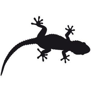 Gecko Wandtattoo