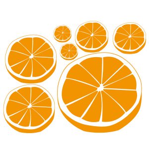 Citrus Sortiment Wandtattoo