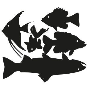 Wassertiere Set Fische Wandtattoo