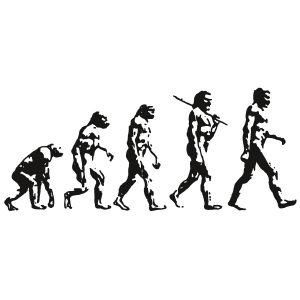 Evolution Wandtattoo