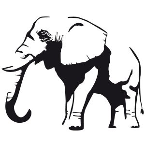 Elefant Bulle Wandtattoo