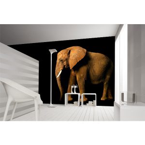 Elefant Side Fototapete