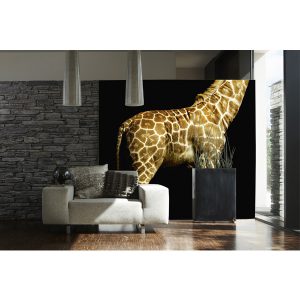 Giraffe Fototapete