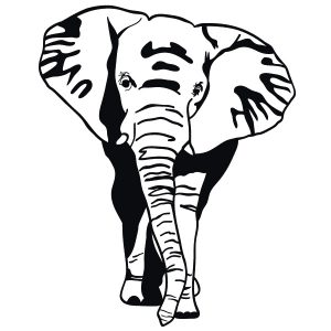 Elefant frontal Wandtattoo