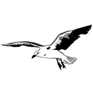 Fliegende Möwe See Vogel Wandtattoo