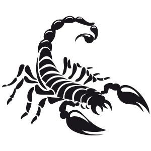 Scorpion Arachnida Wandtattoo