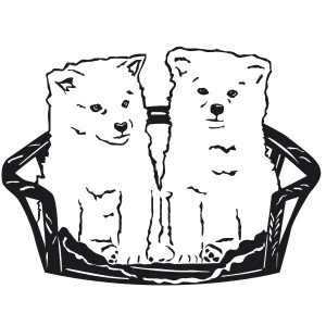 Akita Hunde im Korb Wandtattoo