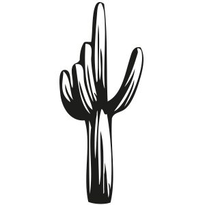 Kaktus Cactaceae Wandtattoo