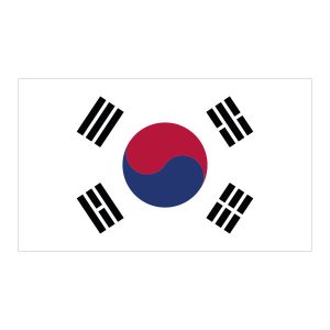 Wadeco Wandtattoo Korea Flagge Ansicht