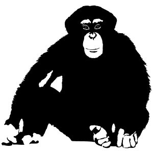 Schimpanse sitzend