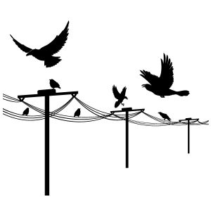 Strommast mit Vögeln Wandtattoo