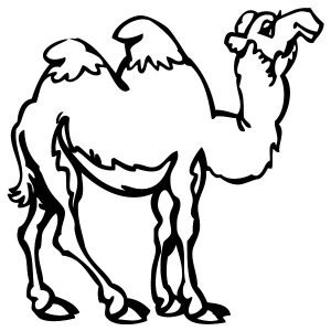 Kamel fröhlich Wandtattoo