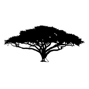Afrikanischer Baum Akazie Wandtattoo