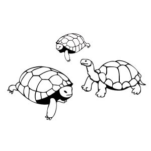 Schildkröten Wandtattoo