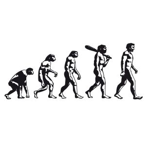 Evolution Homosapien Wandtattoo