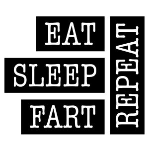 Eat Sleep Fart Repeat Wadeco Wandtattoo