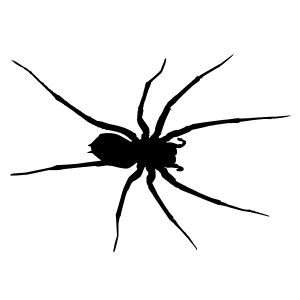 Spinne Spider Wadeco Wandtattoo