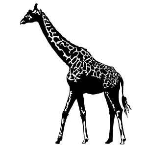 Giraffe Bulle Wandtattoo