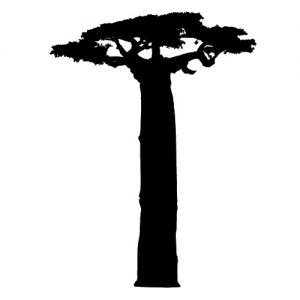 Baobab Baum Wadeco Wandtattoo