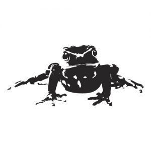 Frog Frosch Wadeco Wandtattoo