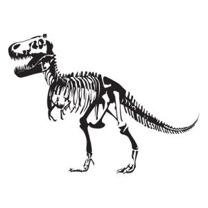 T Rex Skelett Dinosaurier Wadeco Wandtattoo