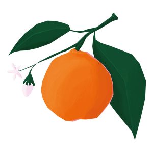 Wandtattoo Orange mit Bluete Produktbild