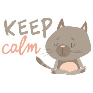Wandtattoo Keep Calm Yoga Katze Ansicht