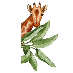 Wadeco Wandtattoo Giraffe mit Blättern Ansicht